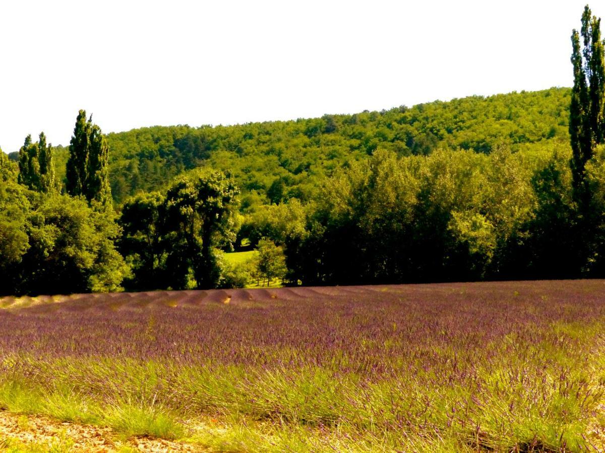 La Fontaine De Rocoule Hotel Rochefort-en-Valdaine Екстериор снимка